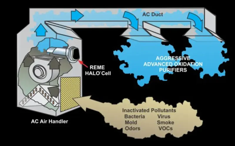 REME Halo 1.jpg